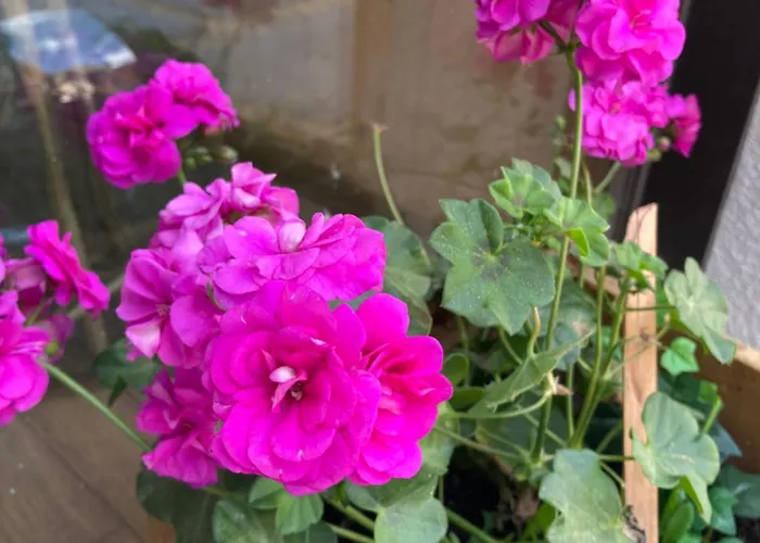 Prázdninový dům Maison Boutxy Le Clos Des Ours *