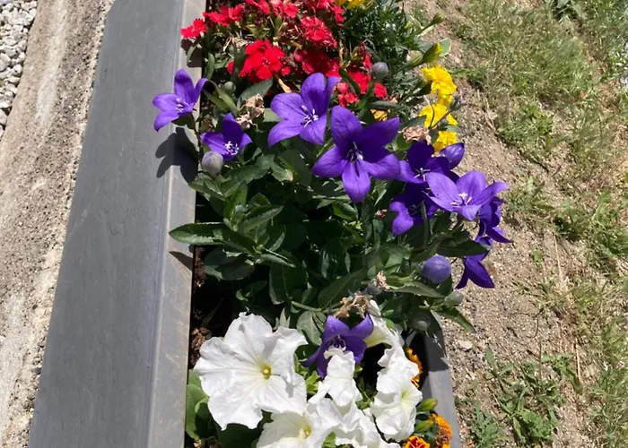 Maison Boutxy Le Clos Des Ours Prázdninový dům Matemale